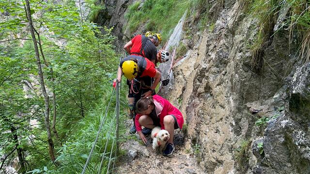 Foto: ZOOM.TIROL