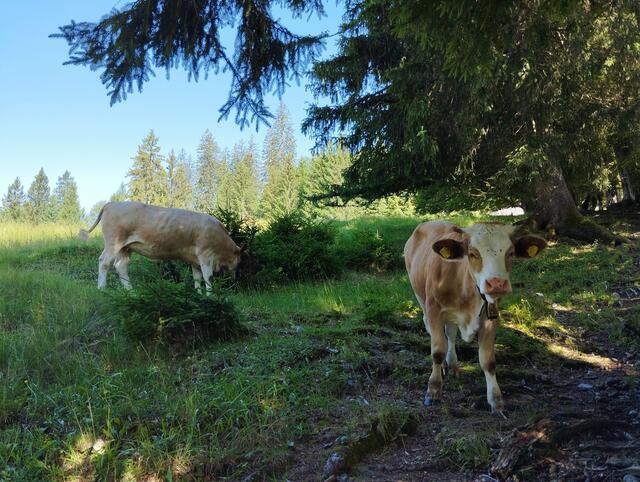 Foto: Veronika Frank