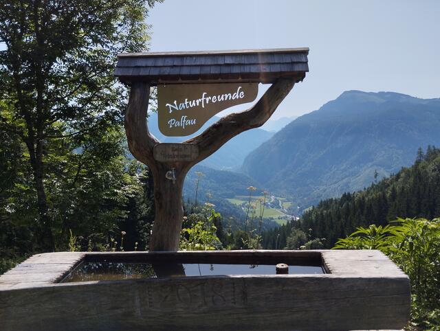 Foto: Veronika Frank