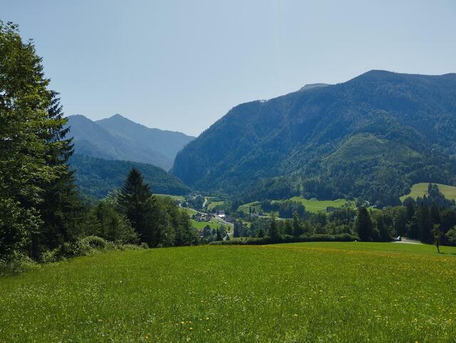 Foto: Veronika Frank