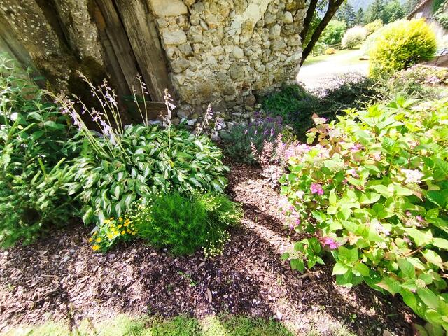 Foto: Veronika Frank