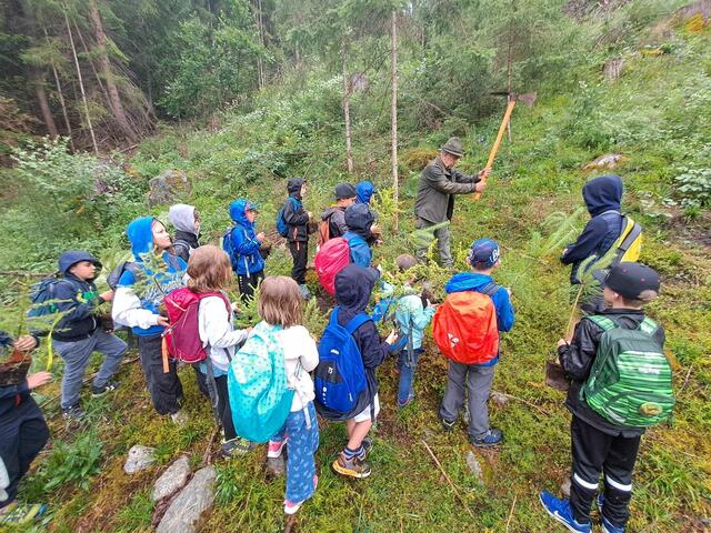 Bäume pflanzen und Kräuterwanderungen führten die Jugend in die Natur. | Foto: VS Roppen