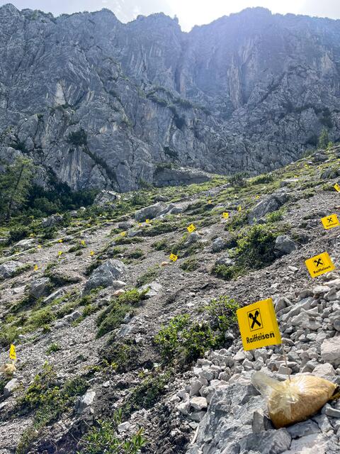 Foto: Tiroler Zugspitz Arena - Maximilian Rothleitner