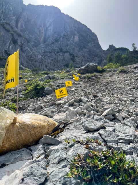 Foto: Tiroler Zugspitz Arena - Maximilian Rothleitner