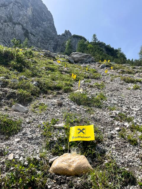 Foto: Tiroler Zugspitz Arena - Maximilian Rothleitner