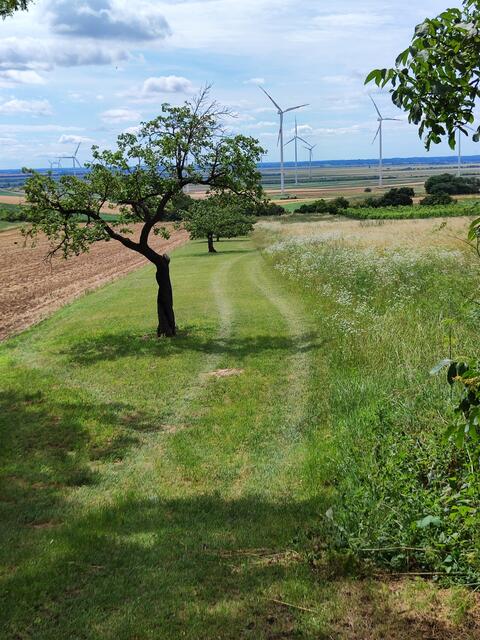 Natur und Technik... | Foto: I.Wozonig