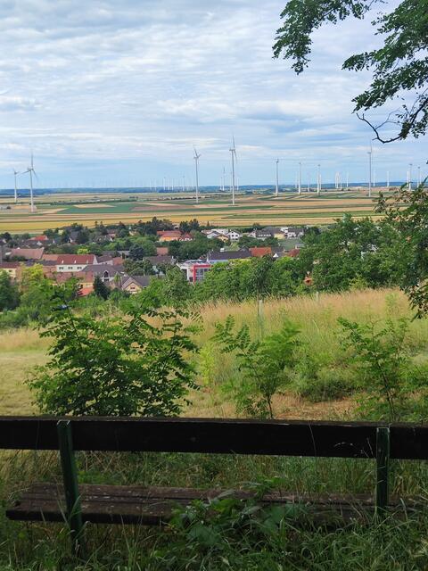 Im Burgenland drehen sich die Windkraftwerke... | Foto: I.Wozonig
