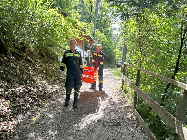 Foto: Freiwillige Feuerwehr Frankenfels