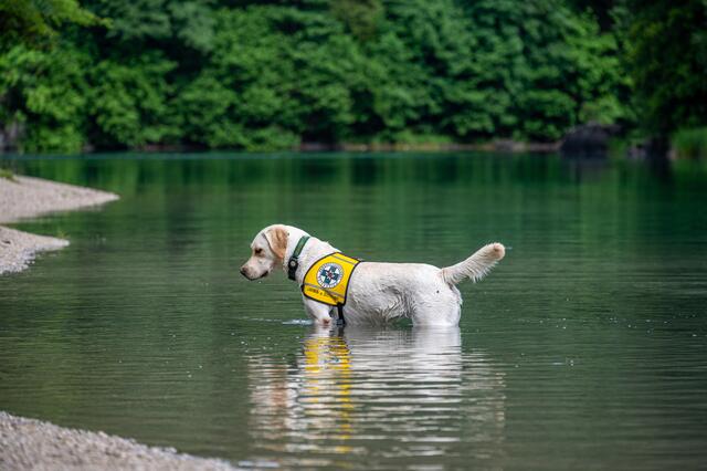 Foto: TEAM FOTOKERSCHI.AT / DAVID RAUSCHER