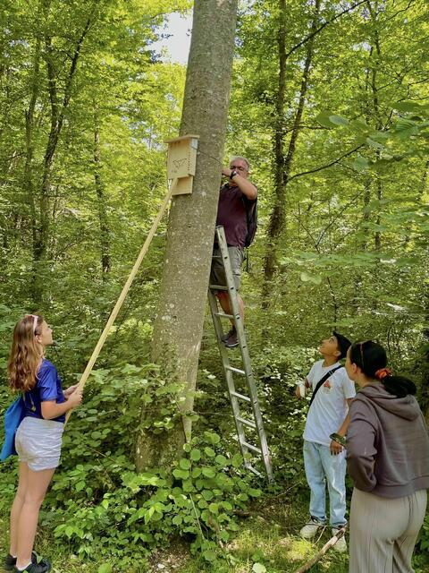 Schüler der MS Hausmening montieren neue Fledermauskästen im Kokeschwald. | Foto: MS Hausmening