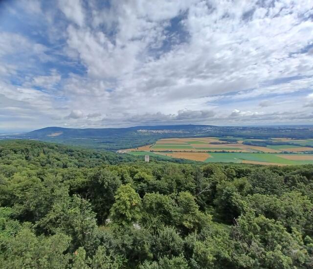 Blick Richtung Slowakei... | Foto: I.Wozonig