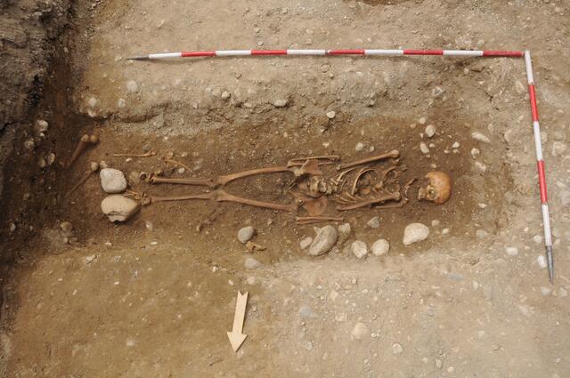 Die Skelette sind zum Teil noch sehr gut erhalten und annähernd vollständig. | Foto: Archäologischer Dienst Kärnten