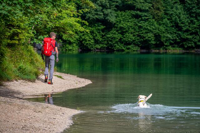 Foto: TEAM FOTOKERSCHI.AT / DAVID RAUSCHER