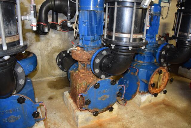 Foto: Patricia Hillinger