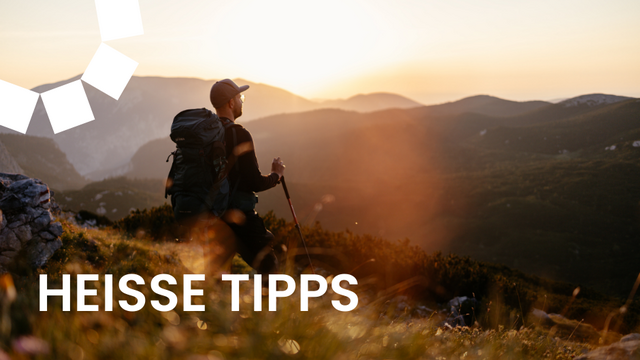 Hier kommen die besten Wanderwege in Niederösterreich | Foto: © Niederösterreich Werbung/ Franziska Consolati