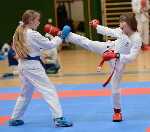 64 junge Talente aus der Steiermark und dem Burgenland zeigten beim ASVÖ-Cup 2024 in Fürstenfeld ihr Können im Karate. | Foto: Karateverband Steiermark