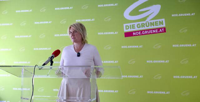 Grüne-Klubobfrau &amp; Landessprecherin Helga Krismer.