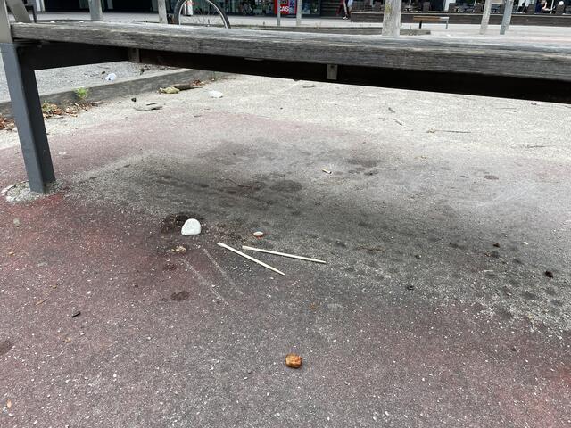 Foto: Rosa Besler