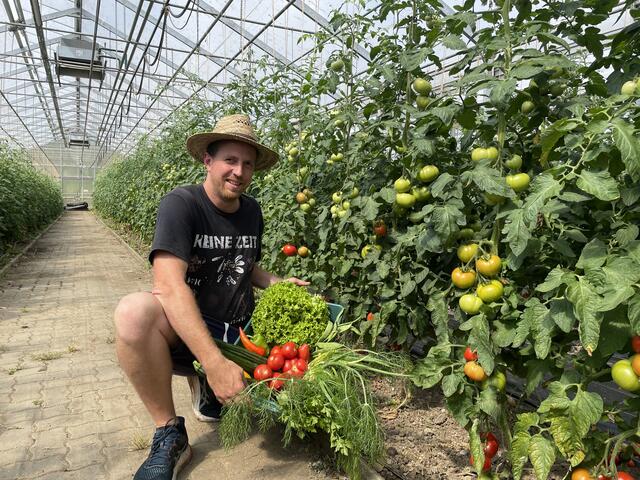 Vitaminschub und Genuss: Simon Wedenig sorgt mit Biotomaten und Biogemüse für bunte und gesunde Vielfalt aus der Region. | Foto: MeinBezirk.at