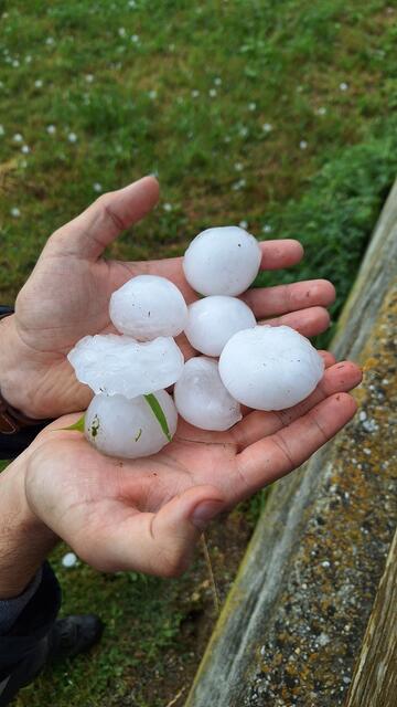 Riesige Hagelkörner richteten schwere Schäden an. | Foto: BFK WT / St. Mayer