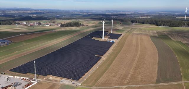 Über 14.000 Solar-Module werden rund 3.500 Haushalte mit grünem Strom versorgen | Foto: W.E.B