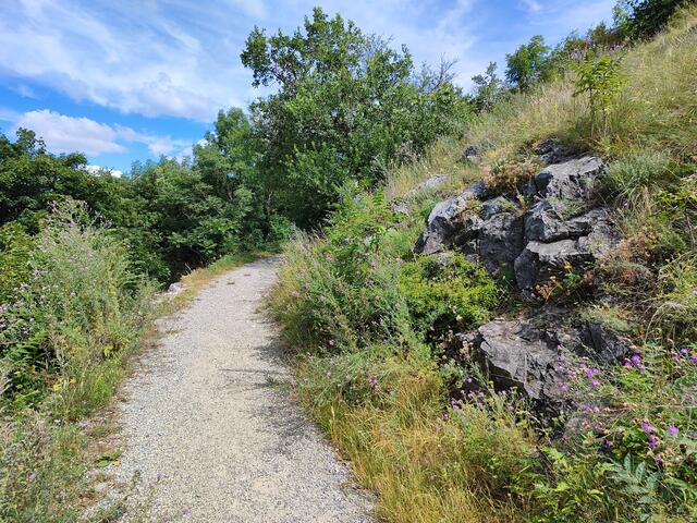 In Serpentinen schlängelt sich der Weg hinauf... | Foto: I.Wozonig