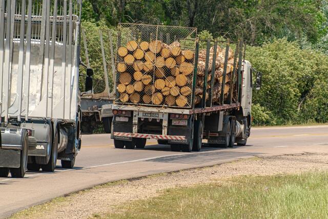 Bei einer Polizeikontrolle in Straßwalchen wurde ein LKW aus dem Verkehr gezogen, dessen Ladung nicht ausreichend gesichert war und das zulässige Gewicht um 7.740 Kilo überschritten wurde. | Foto: pixabay
