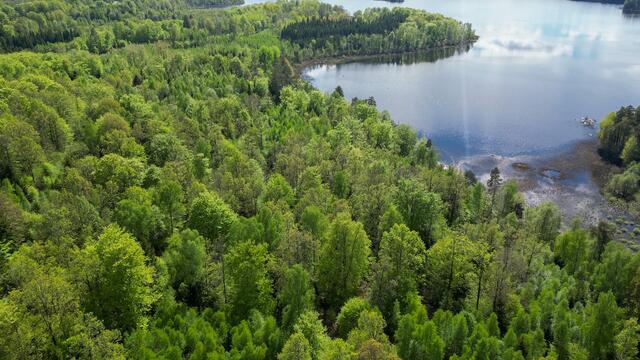 Rund um den See findet das Abenteuer statt. | Foto: Pfadfindergruppe Braunau