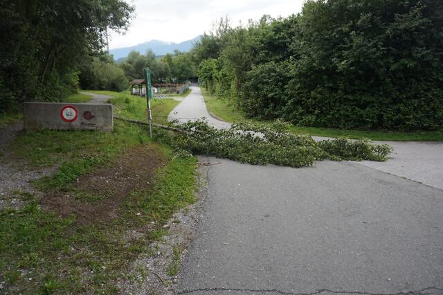 Baum auf Radweg – glücklicherweise gab es bei diesem Vorfall keine Verletzten. | Foto: Feuerwehr Völs