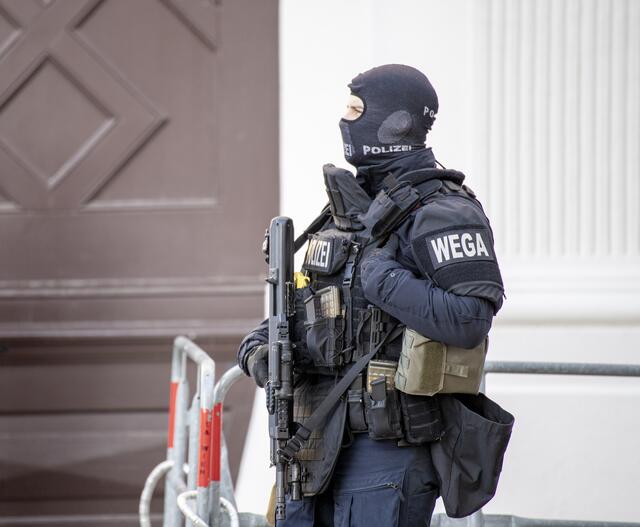 Dienstagnacht, 2. Juli, war die WEGA wegen eines Einbruchs in der Leopoldstadt im Einsatz. (Symbolbild) | Foto: Tobias Steinmaurer / picturedesk.com