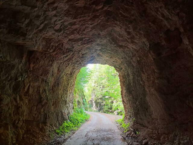 Foto: Bundesforste/Nationalparkbetrieb Kalkalpen