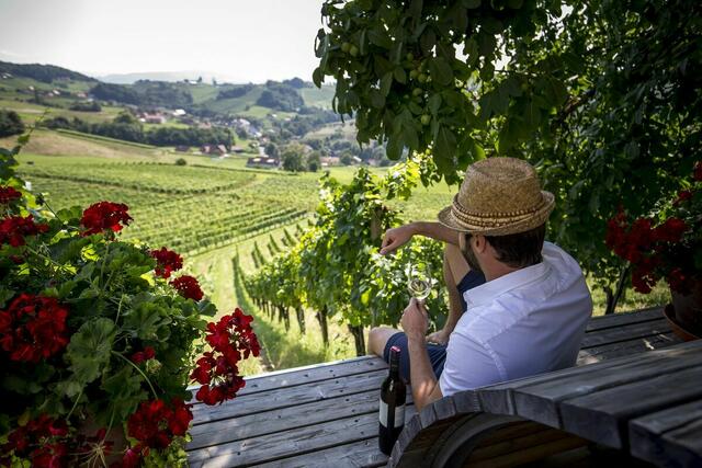Wandern und Erholung, ab in die Natur und richtig ausspannen: Fragt man die Gäste, die in der Steiermark Urlaub machen, sind das die Top-Antworten. | Foto: Steiermark Tourismus/Tom Lamm
