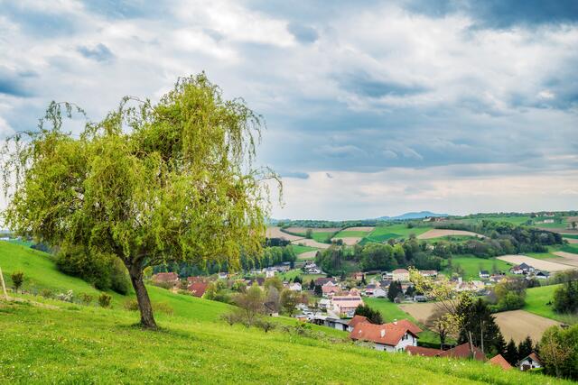 Foto: Gerald Lang Photography