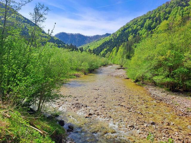 Foto: Bundesforste/Nationalparkbetrieb Kalkalpen
