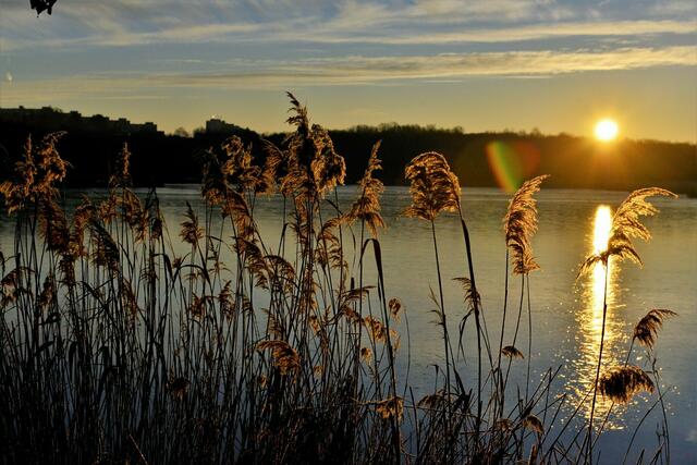 Romantischer Sonnenuntergang am Wienerberg-Teich in Favoriten.  | Foto: Manfred Sebek