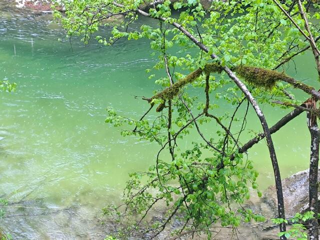 Foto: Bundesforste/Nationalparkbetrieb Kalkalpen