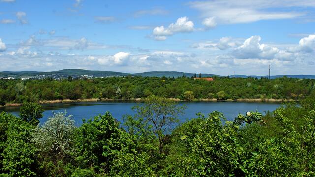 Wienerberg-Teich | Foto: Karl B. 