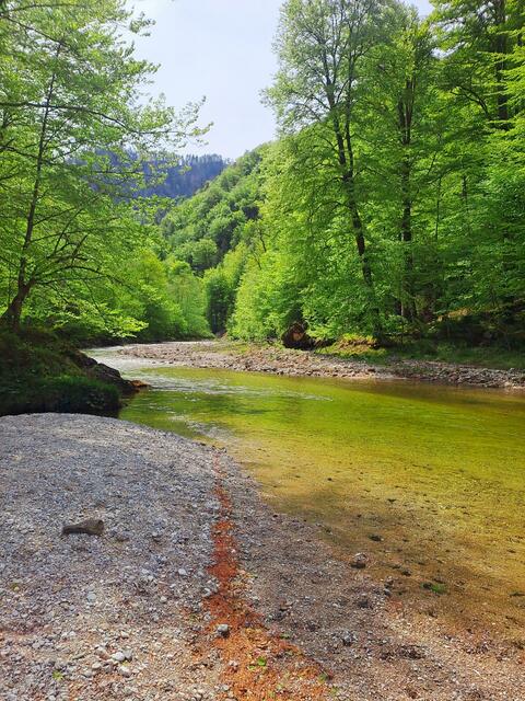 Foto: Bundesforste/Nationalparkbetrieb Kalkalpen