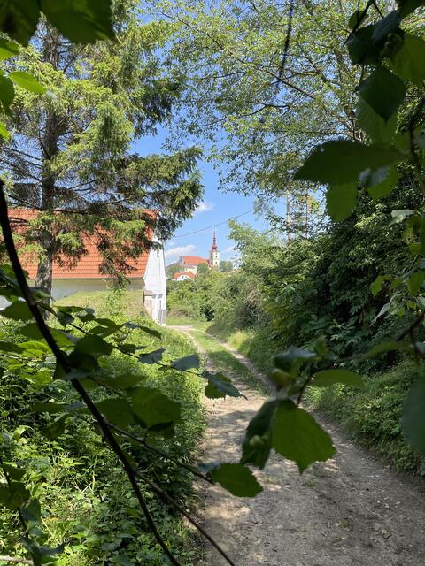 Foto: Elisabeth Bendl