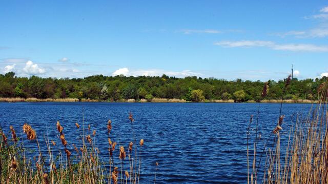 Der Wienerberg-Teich. | Foto: Karl B.