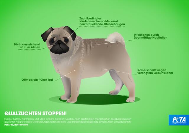 Foto: PETA Deutschland e.V.
