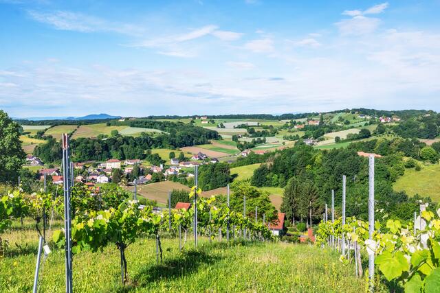 Foto: Gerald Lang Photography