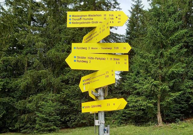 Viel Auswahl.... | Foto: H.Bachinger 