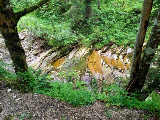 Eine interessante Gesteinsbildung im Bachbett | Foto: H. Bachinger