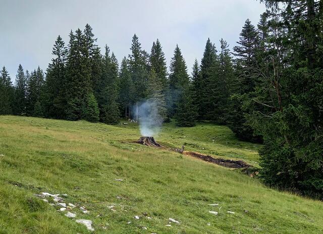 Rauch steigt auf.... | Foto: H. Bachinger