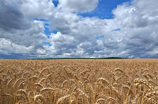 bei Großweikersdorf