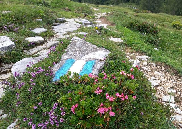 Unser Wegweiser blau weiß blau | Foto: H. Bachinger