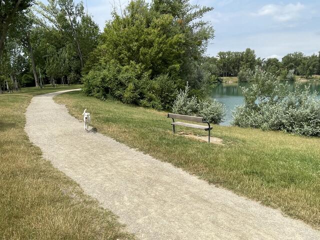 Foto: MeinBezirk/Luise Schmid