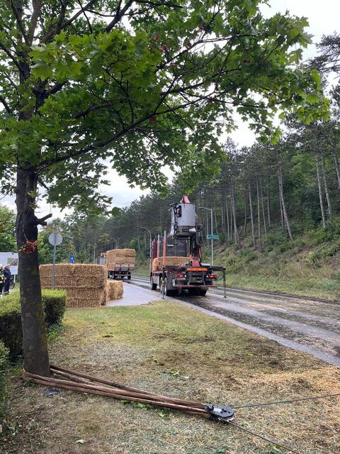 Foto: Freiwillige Feuerwehr Hirtenberg