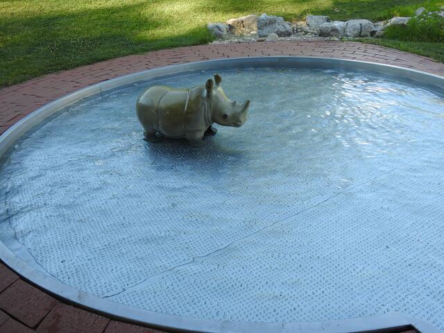 Foto: Christina Haller